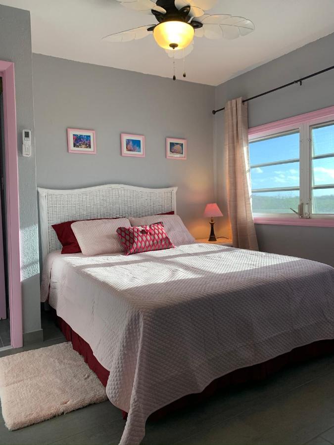 Turtles Nest Bahamas Apartamento George Town Exterior foto