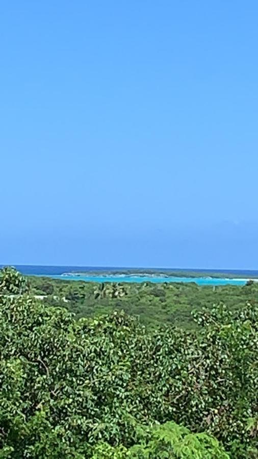 Turtles Nest Bahamas Apartamento George Town Exterior foto